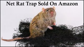 Does This Net Rat Trap Sold On Amazon Work Mousetrap Monday [upl. by Sadira]