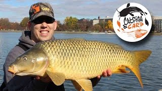 How to catch carp  carp fishing tips and techniques  carp bait [upl. by Anabel]