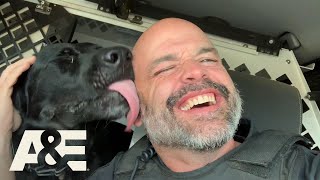 Police Dog Handlers Share Cute K9 Stories Part 3  Americas Top Dog Season 1  AampE [upl. by Skricki]