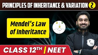 Principles of Inheritance amp Variation 02  Mendels Law of Inheritance  Class 12thNEET [upl. by Sibyls]