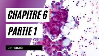 Cytologie  Chapitre 6 P1 La Membrane Plasmique  Dr Homsi [upl. by Mellins]