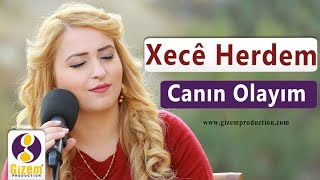 Xecê Herdem Canın Olayım Akustik [upl. by Daly908]