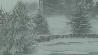 Epic Snowstorm  Howling Blizzard Sounds  Heavy Wind amp Snow  Perfect Sounds For Sleep [upl. by Ellon]