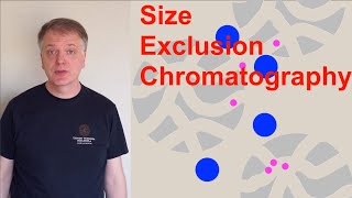 Size Exclusion Chromatography SEC [upl. by Sklar]