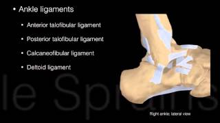 ATFL Arthroscopic Brostrom Reinsertion for ankle instability [upl. by Melborn]