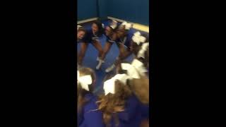 Bayshore High varsity cheer hype [upl. by Stryker309]