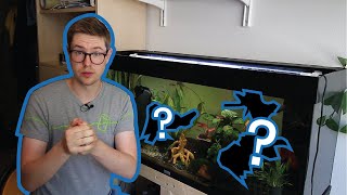 Why Aquarium Driftwood Floats and How To Fix It [upl. by Acinemod]