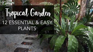 Top 12 MustHave amp Easy Plants for a lush Tropical Garden [upl. by Rivalee]