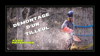 Élagage  Démontage dun Tilleul avec rétention [upl. by Elyse663]