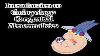 Congenital Abnormalities [upl. by Eisac]