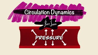 Circulation Dynamics  Part 3  Pressure  Hemodynamics  Cardiac Physiology [upl. by Harwill18]