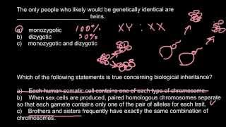 Monozygotic vs dizygotic twins [upl. by Carlick835]