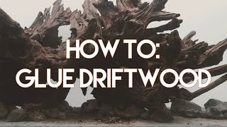 Minute Mentions How to Glue Aquarium Driftwood [upl. by Yellhsa]