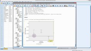 Multiple Comparisons  SPSS [upl. by Philly754]