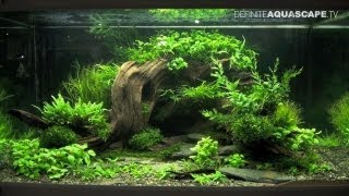 Aquascaping  The Art of the Planted Aquarium 2013 XL pt2 [upl. by Namra849]