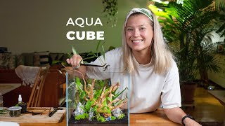 AQUA CUBE  Guide to making an Incredible Aquascape [upl. by Ardnajela]