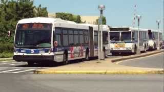 MTA NYC Bus LaGuardia Airport Conga Line Bus Madness M60 Q47 Q48Q69amp NIS Buses [upl. by Anderson]