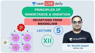 Principles of Inheritance amp Variation  L5  Unacademy NEET  LIVE DAILY  NEET Biology  Sachin Sir [upl. by Doggett]