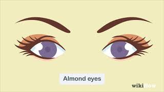 How to Determine Eye Shape [upl. by Ecadnarb165]