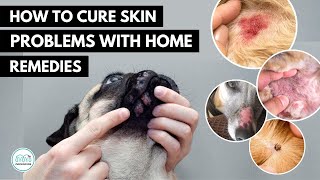 How To treat 5 Skin infection in dogs 🐕 with home remedies [upl. by Ijneb875]