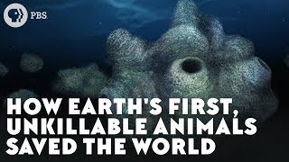 How Earths First Unkillable Animals Saved the World [upl. by Ssilem]