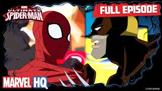 Freaky  Ultimate SpiderMan S1 E10  Full Episode [upl. by Ressay]