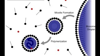 Emulsion Polymerization [upl. by Weatherley]