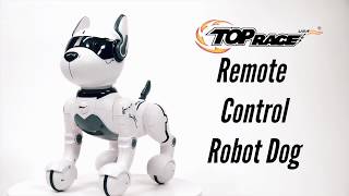 Top Race Remote Control and Voice Control Robot Dog Toy Robots for kids TRP5 [upl. by Zeph]