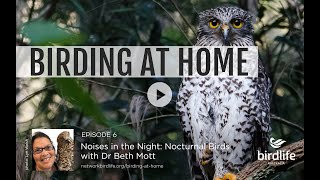 Birding at Home Episode 6 Noises in the Night  Nocturnal Birds presented by Dr Beth Mott [upl. by Egroeg648]