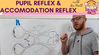 Pupillary light reflex and Accommodation reflex [upl. by Mace]