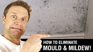 How to Paint over Mould amp Mildew [upl. by Bernarr]