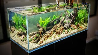 HOW TO AQUASCAPE a 125 gal Nature Aquarium [upl. by Nnylyar]