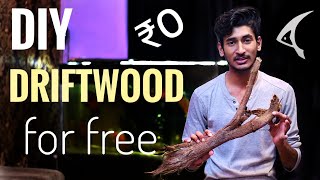 How to make Driftwood For Aquarium FREE  DIY Driftwood at home for Free [upl. by Notsgnik558]