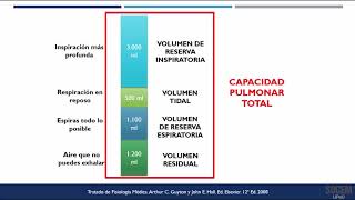 Volúmenes y capacidades pulmonares [upl. by Charpentier]