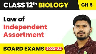 Law of Independent Assortment  Principles of Inheritance and Variation  Class 12 Biology 202223 [upl. by Dewhirst206]