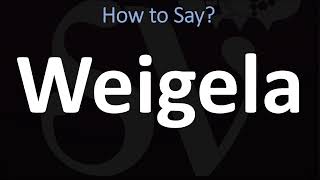 How to Pronounce Weigela CORRECTLY [upl. by Streeter648]