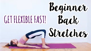 Back Stretches for the Inflexible Beginner Flexibility Routine [upl. by Merissa]