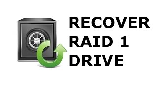 Recover Data from Single RAID 1 Hard Drive LINUXBased NAS [upl. by Hymen]