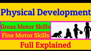 Embryology Animated  the First Three Weeks [upl. by Veradis]