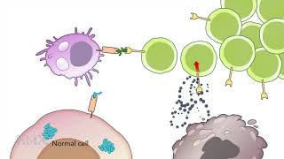 HMX Immunology  Course Preview [upl. by Ardisj]