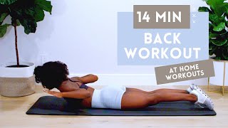 14 MINUTE BACK WORKOUT FOR STRONGER BACK  BETTER POSTURE  NO EQUIPMENT  BEGINNER  INTERMEDIATE [upl. by Seravart]