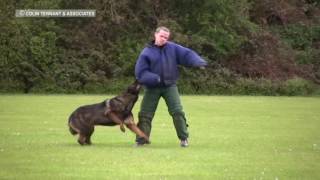 BEST POLICE DOG TRAINING [upl. by Oirasec]