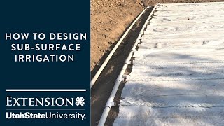 How to Design Subsurface Drip Irrigation [upl. by Aileme686]