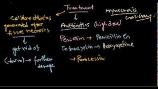 Clostridium perfringens treatment [upl. by Trebloc]