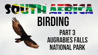 Birding in South Africa Part 3 Augrabies Falls National Park [upl. by Nennarb700]