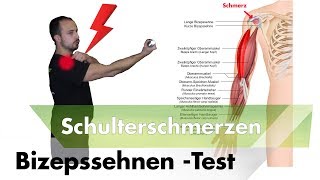 Bizepssehne entzündet  Schulterimpingement testen [upl. by Bugbee]