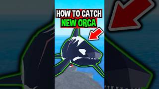 HOW TO CATCH ORCA in Roblox Fisch [upl. by Yates389]