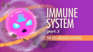 Immune System Part 3 Crash Course Anatomy amp Physiology 47 [upl. by Nrevel]