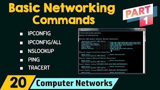 Basic Networking Commands Part 1 [upl. by Alletniuq]