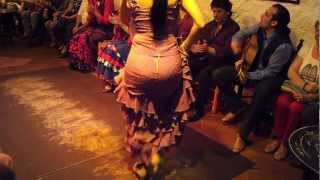 Flamenco Dance by Spanish Gypsies Part 1 [upl. by Mika]